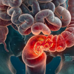 Criado com LabNews Pro