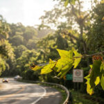 Criado com LabNews Pro