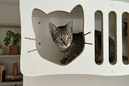 Criado com LabNews Pro